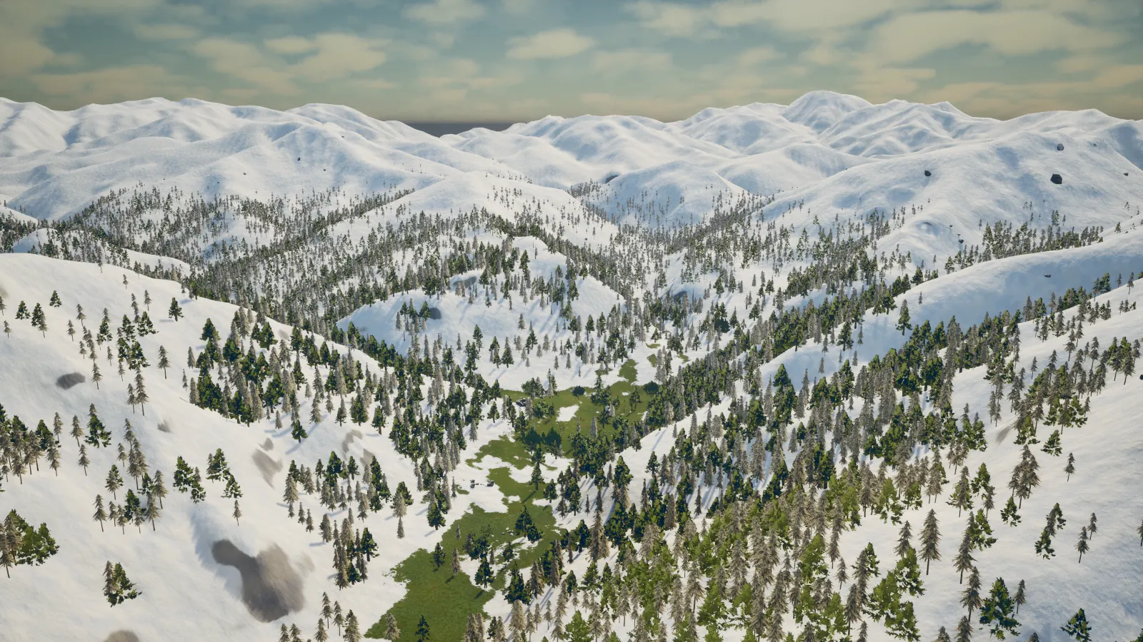 Montanhas cobertas de neve e floresta até o horizonte