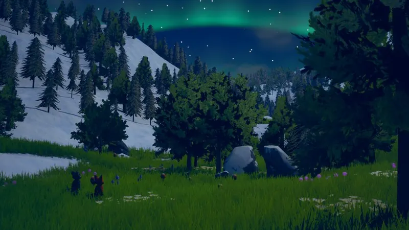 O vale à noite, com a aurora boreal verde no céu